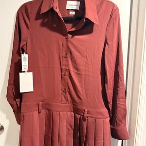 Aritzia Sunday Best Long Sleeve Dress in Deep Rust